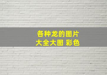 各种龙的图片大全大图 彩色